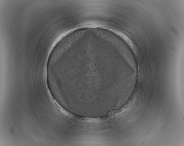 X0000110881191200907021450