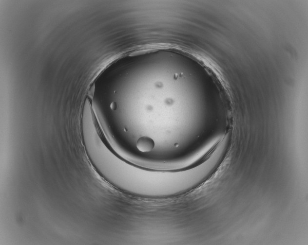 X0000110881193200907021450