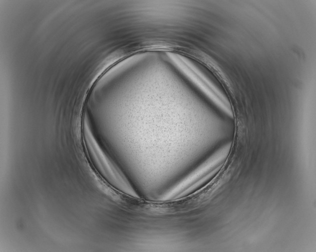X0000110881194200907021450