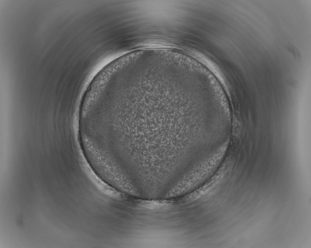 X0000110881195200907021450