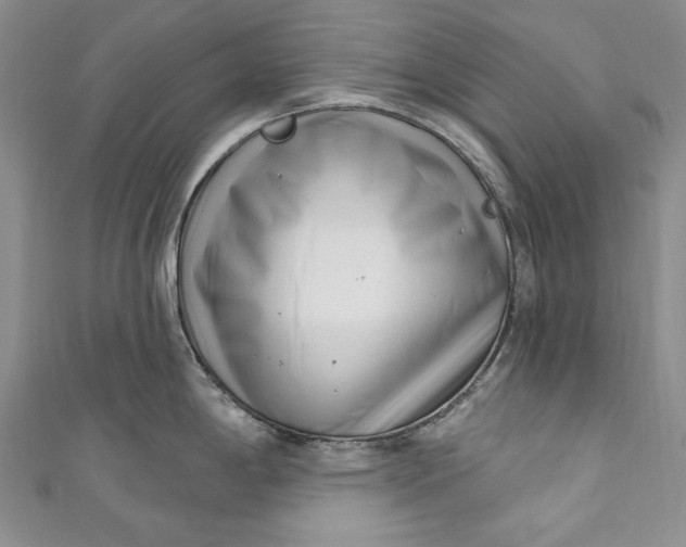 X0000110881198200907021450