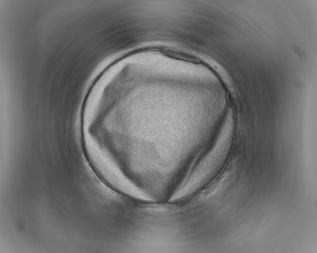 X0000110881199200907021450