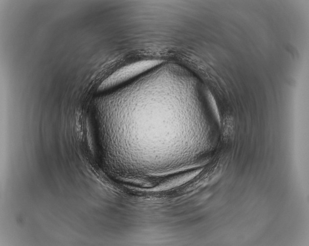 X0000110881202200907021450