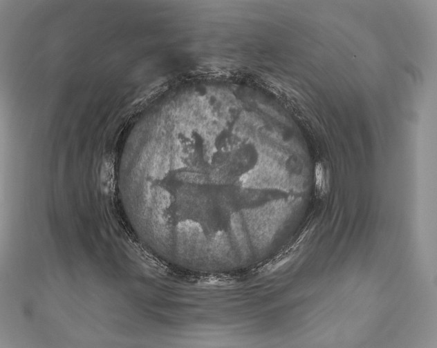 X0000110881203200907021450