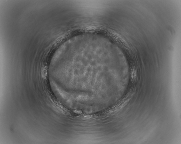 X0000110881204200907021450