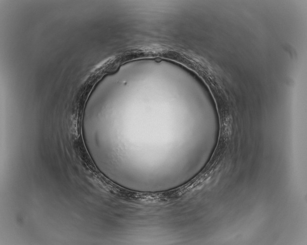 X0000110881205200907021450
