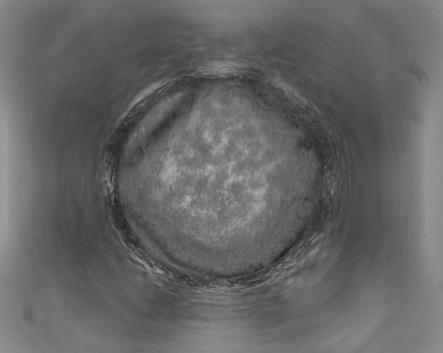 X0000110881206200907021450