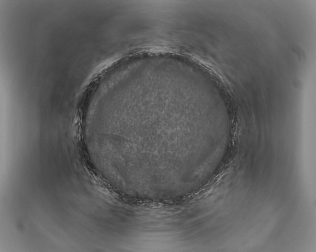 X0000110881207200907021450