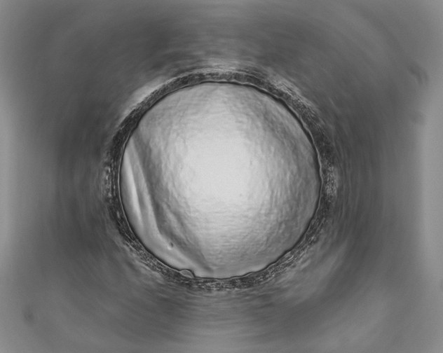 X0000110881208200907021450
