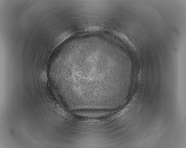 X0000110881209200907021450
