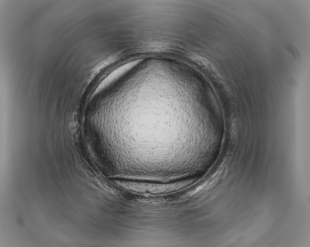 X0000110881210200907021450