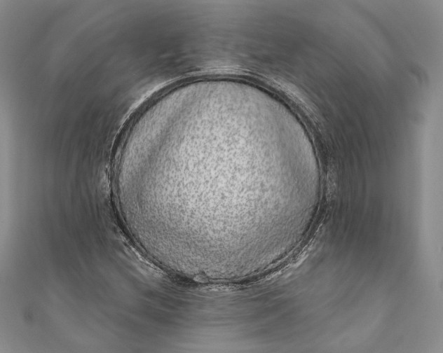 X0000110881212200907021450