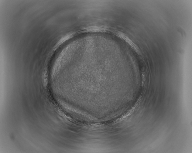X0000110881213200907021450