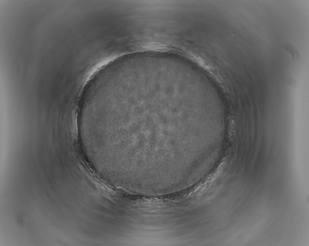 X0000110881214200907021450