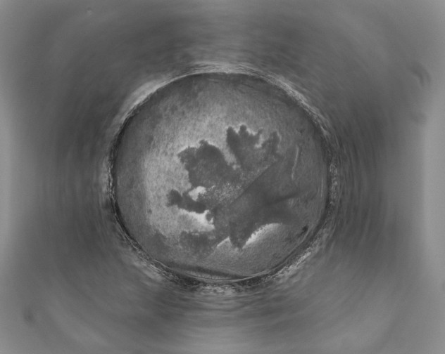 X0000110881215200907021450