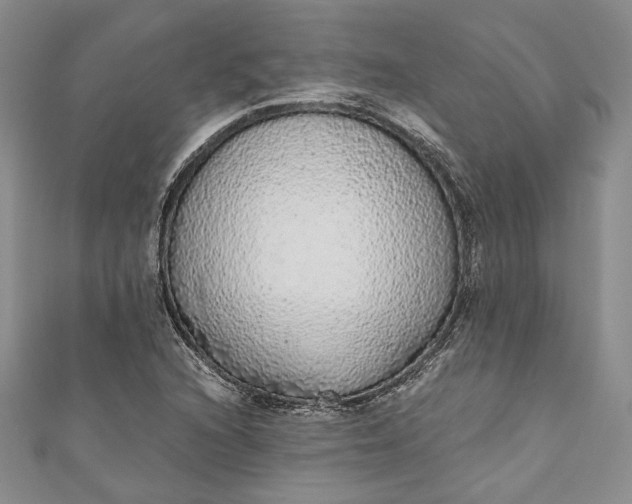 X0000110881216200907021450