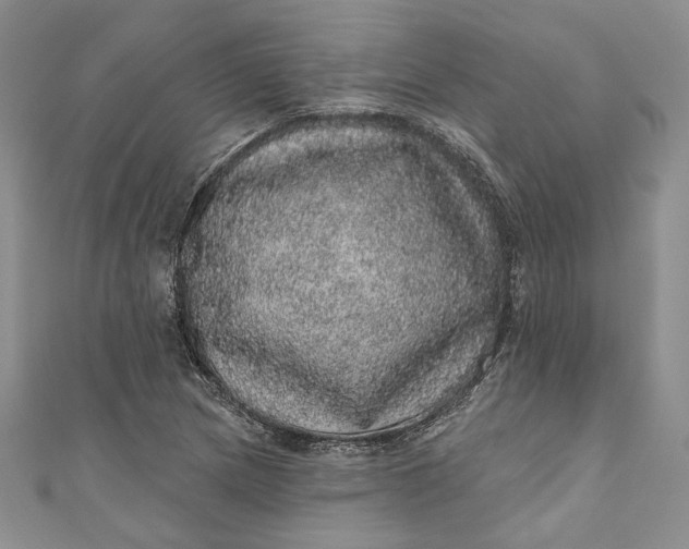 X0000110881217200907021450