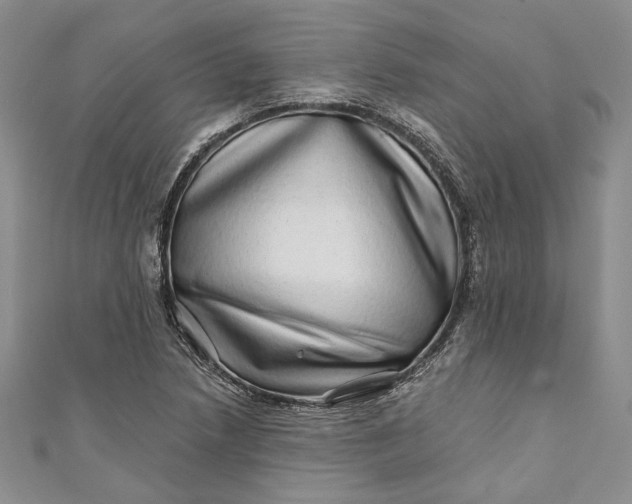 X0000110881218200907021450