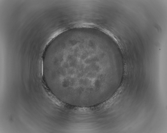 X0000110881219200907021450