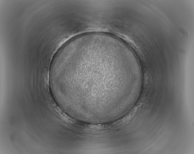 X0000110881220200907021450