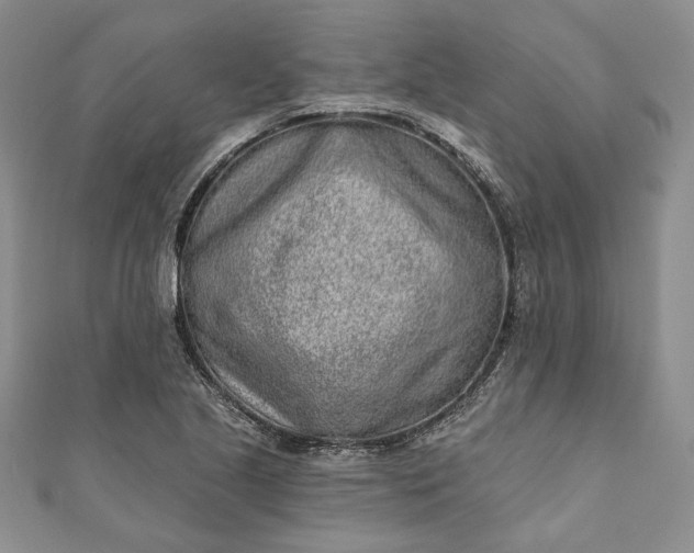 X0000110881221200907021450