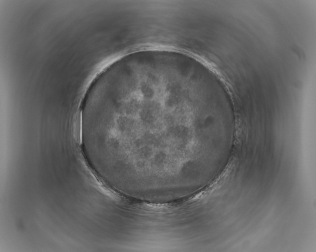 X0000110881223200907021450