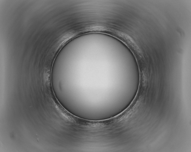 X0000110881225200907021450