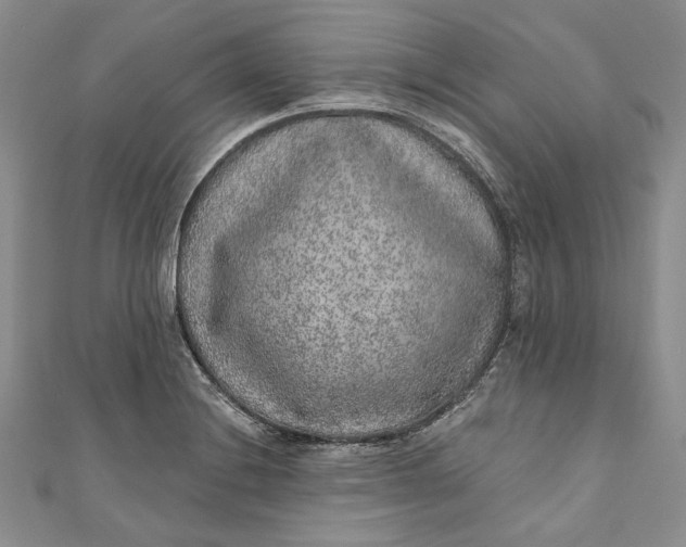 X0000110881228200907021450