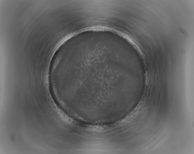 X0000110881229200907021450