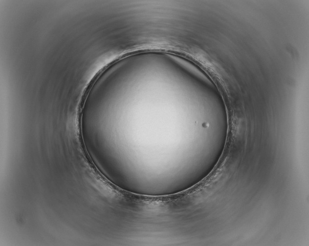 X0000110881230200907021450