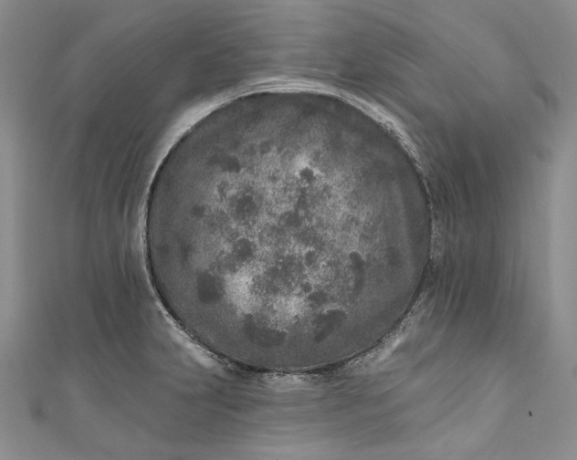 X0000110881231200907021450
