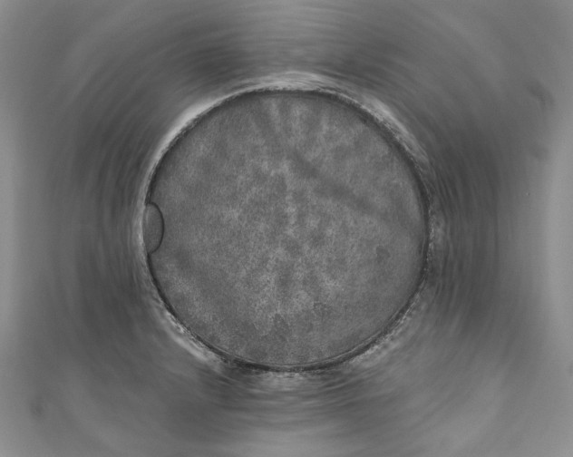 X0000110881232200907021450