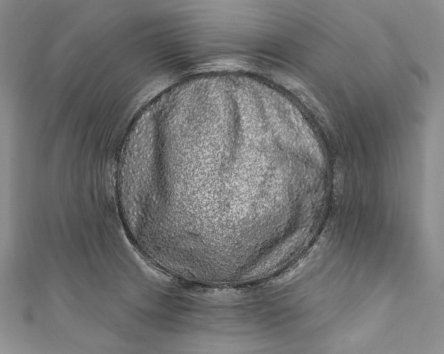 X0000110881233200907021450