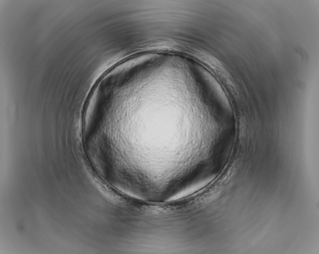 X0000110881234200907021450