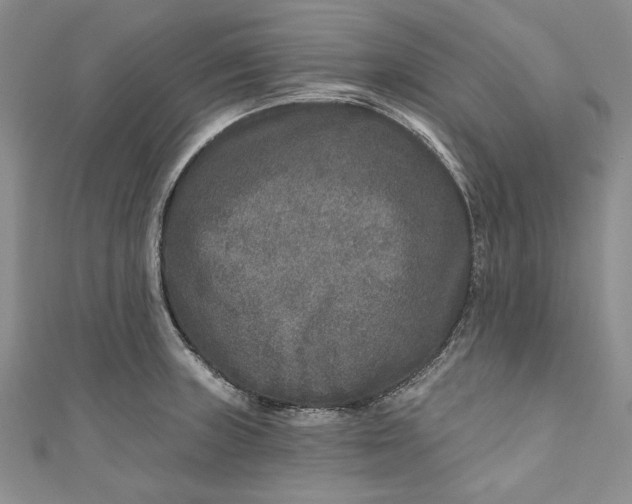 X0000110881235200907021450