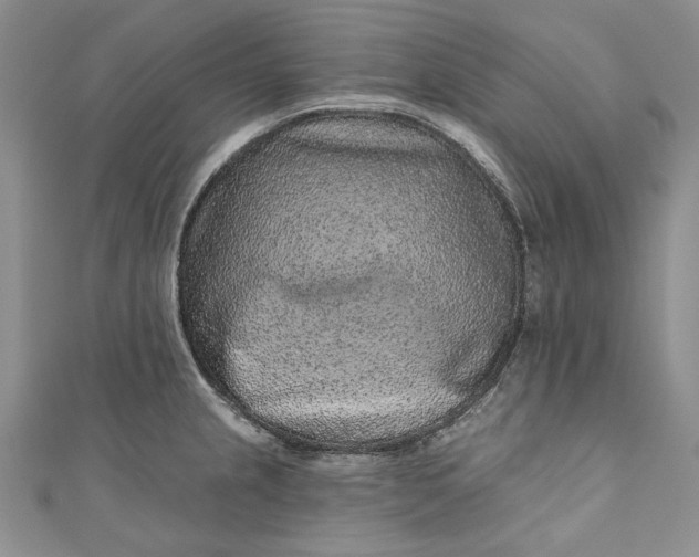X0000110881237200907021450