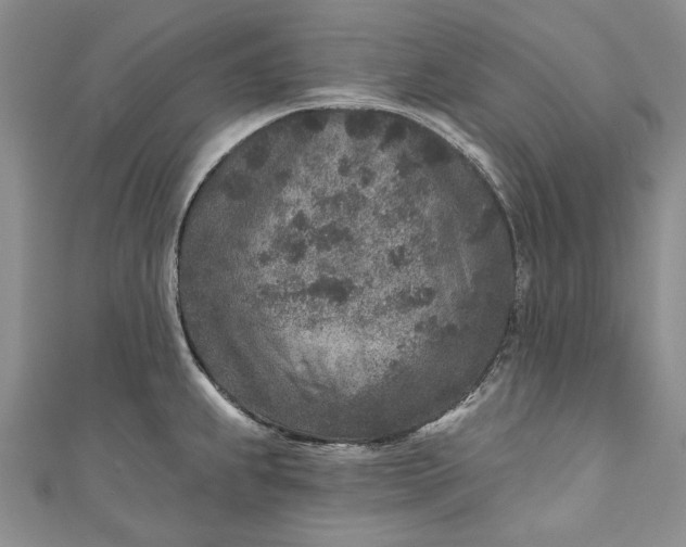 X0000110881239200907021450