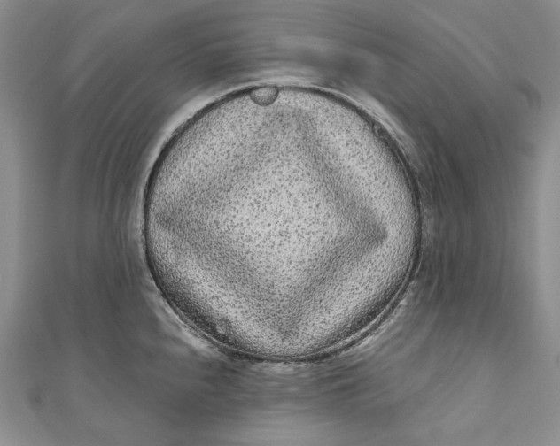 X0000110881240200907021450