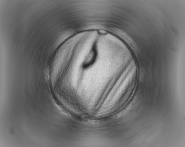 X0000110881241200907021450