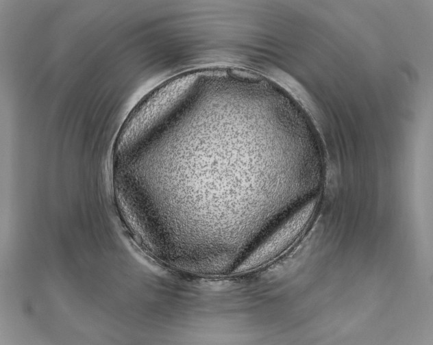X0000110881242200907021450