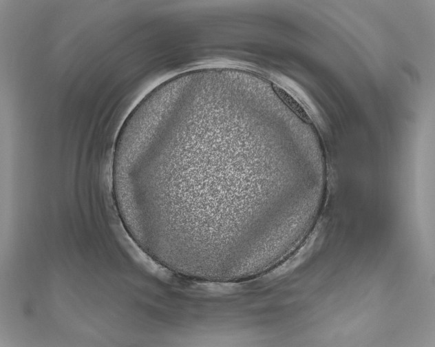 X0000110881244200907021450