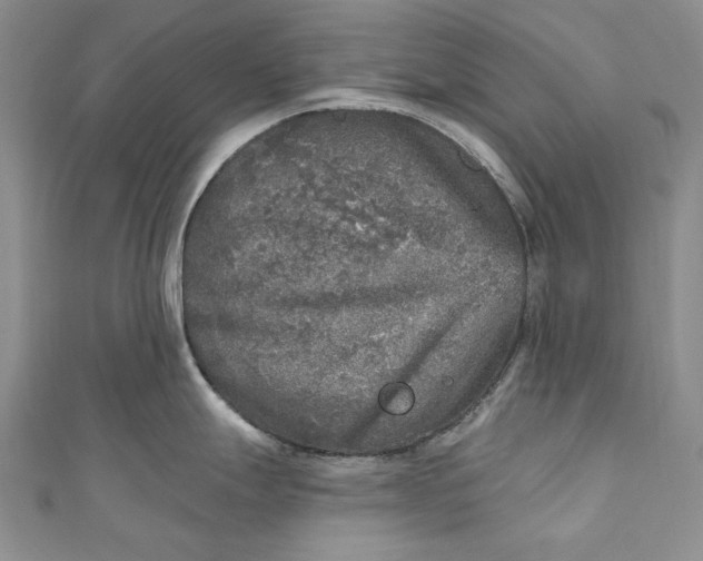 X0000110881247200907021450