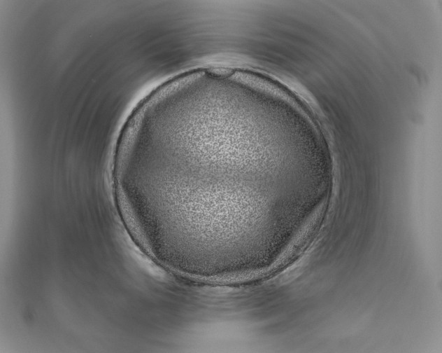 X0000110881248200907021450