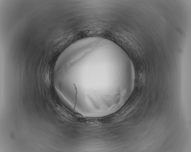 X0000110881250200907021450