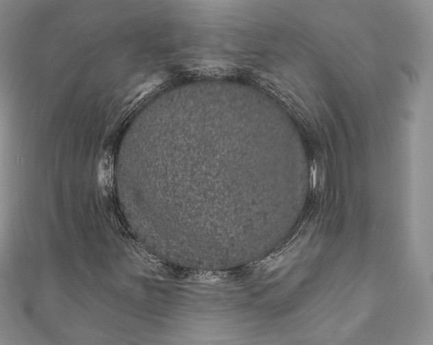 X0000110881251200907021450