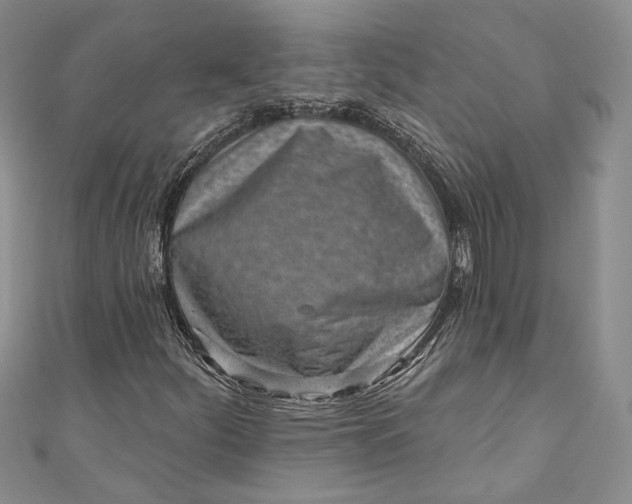 X0000110881252200907021450