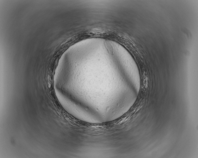 X0000110881253200907021450