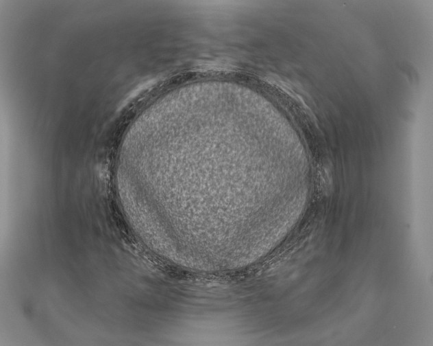 X0000110881254200907021450