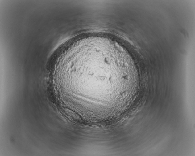 X0000110881255200907021450