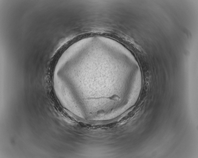 X0000110881256200907021450